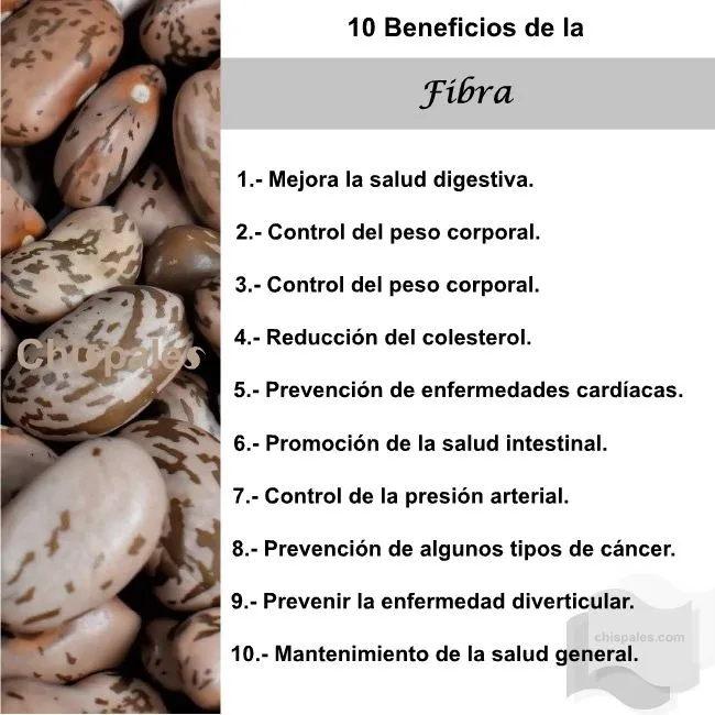 10 Beneficios de la Fibra