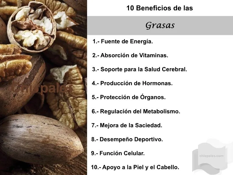 10 Beneficios de las Grasas