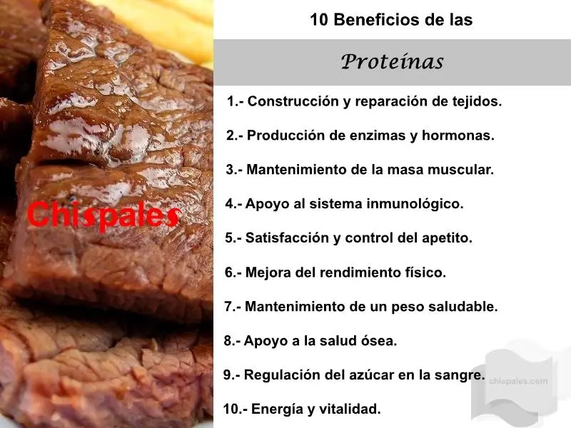 10 Beneficios de las Proteínas