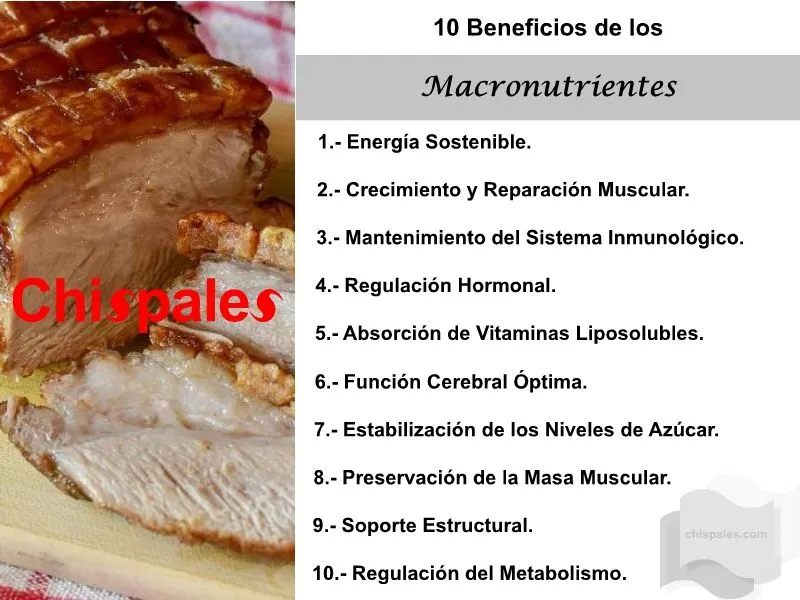 10 Beneficios de los Macronutrientes