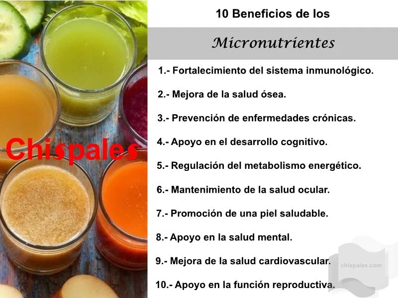 10 Beneficios de los Micronutrientes