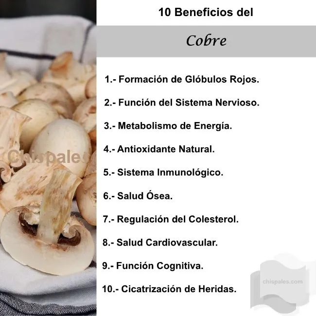 10 Beneficios del Cobre