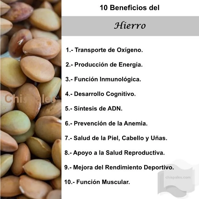 10 Beneficios del Hierro