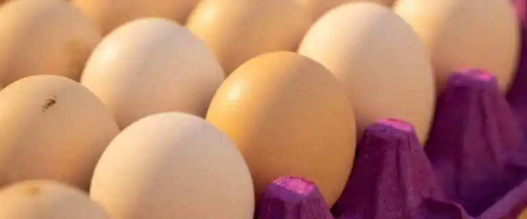 Proteínas