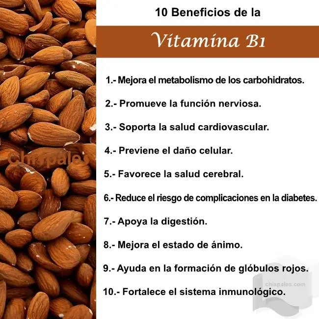 10 Beneficios de la Vitamina B1