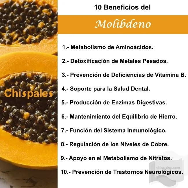 10 Beneficios del Molibdeno