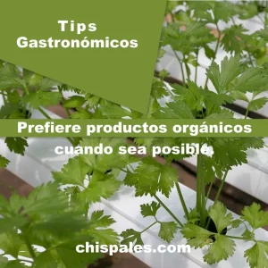 Selección de ingredientes