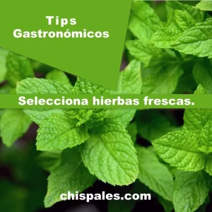 Selección de ingredientes