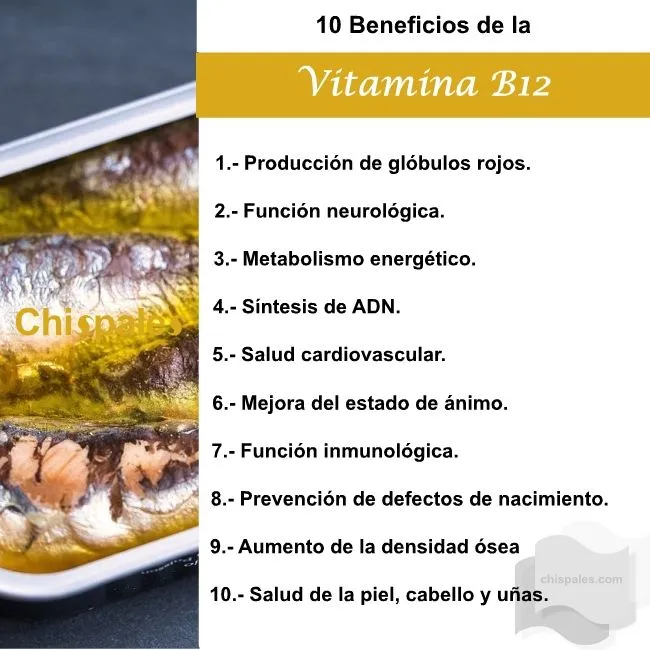10 Beneficios de la Vitamina B12
