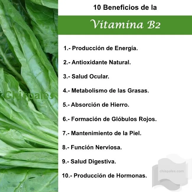 10 Beneficios de la Vitamina B2