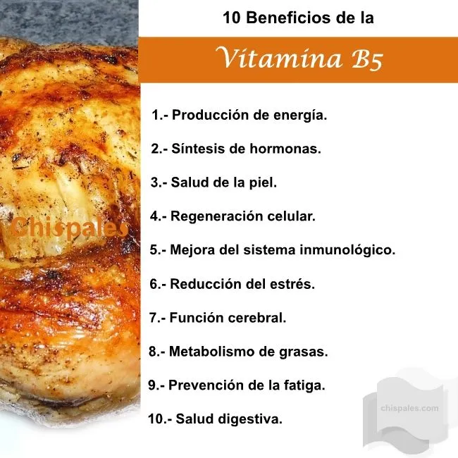 10 Beneficios de la Vitamina B5