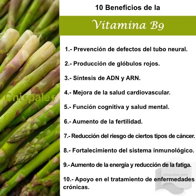 10 Beneficios de la Vitamina B9
