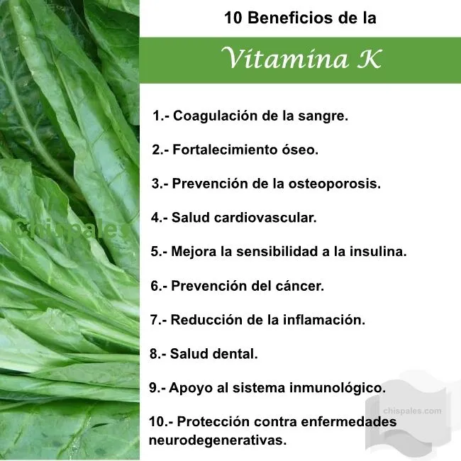 10 Beneficios de la Vitamina K