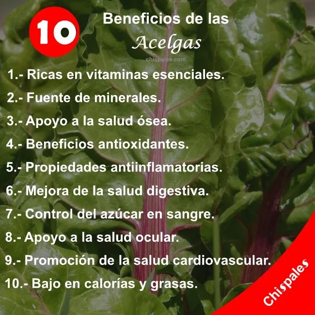 10 Beneficios de las Acelgas