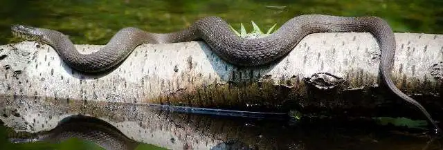 Versículos de Animo