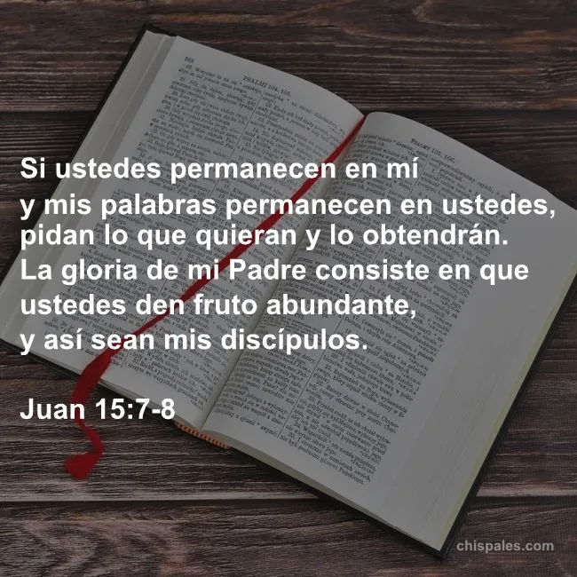 Versículos de promesas de Dios Juan 15.7.8