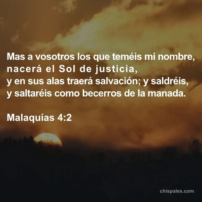 Versículos de promesas de Dios Malaquías 4.2