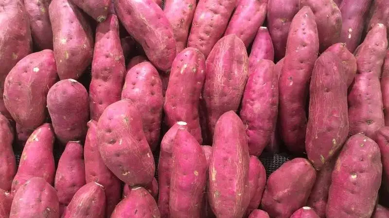 Vitamina B7