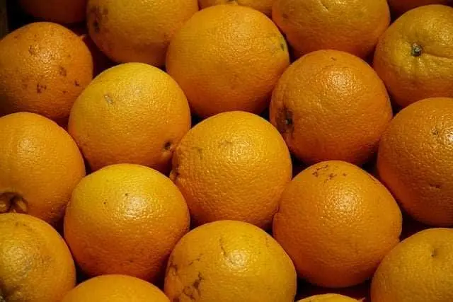 Vitamina B9