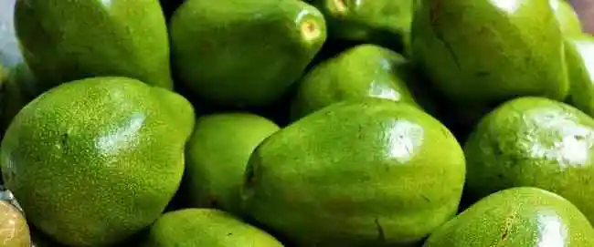 Vitamina B9