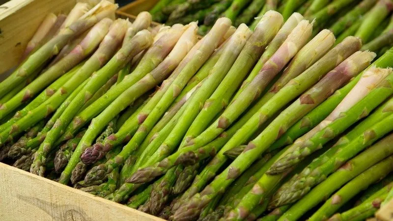 Vitamina B9