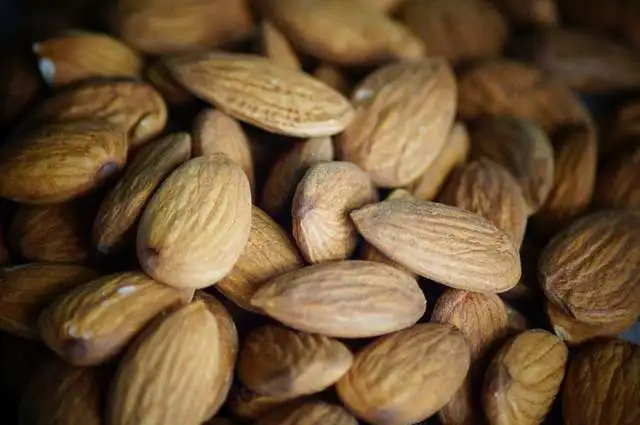Vitamina E