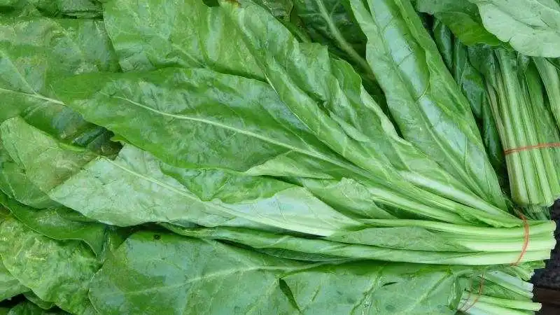 Vitamina K