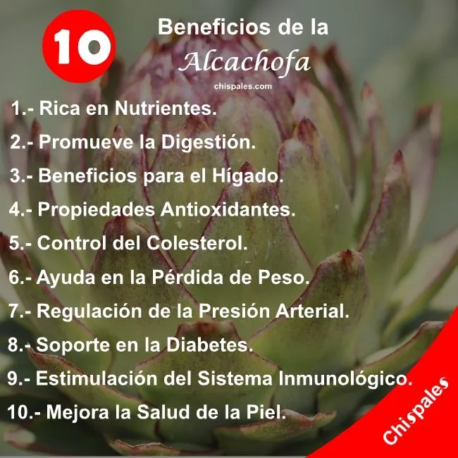 10 Beneficios de la Alcachofa
