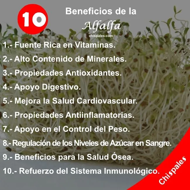 10 Beneficios de la Alfalfa