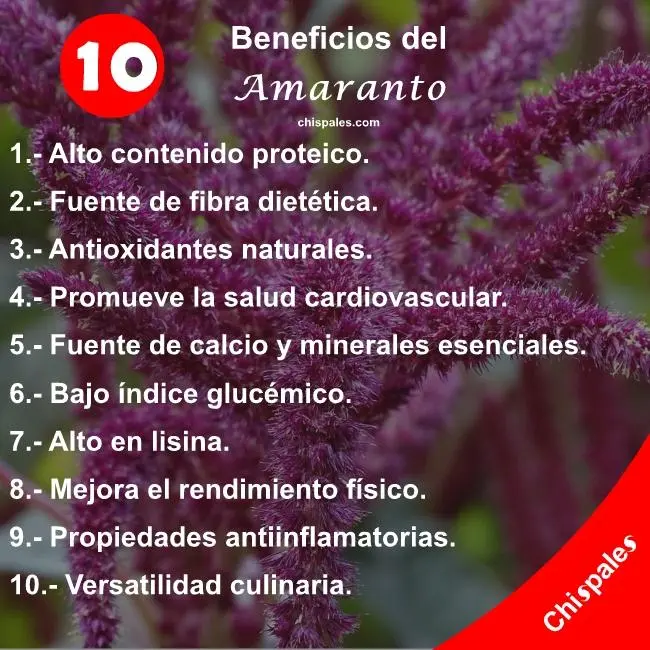 10 Beneficios del Amaranto