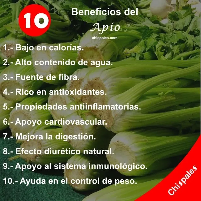 10 Beneficios del Apio