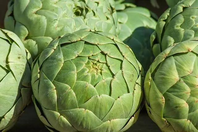 Alcachofa
