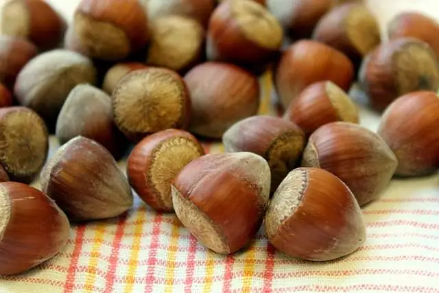 Avellanas