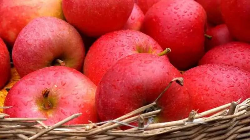 Vinagre de sidra de manzana