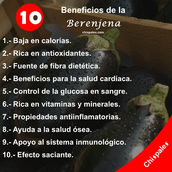 10 Beneficios de la Berenjena