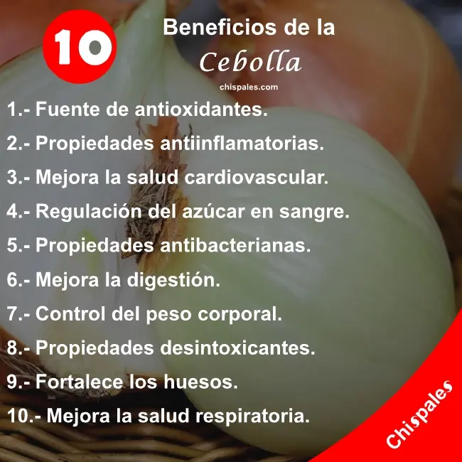 10 Beneficios de la Cebolla