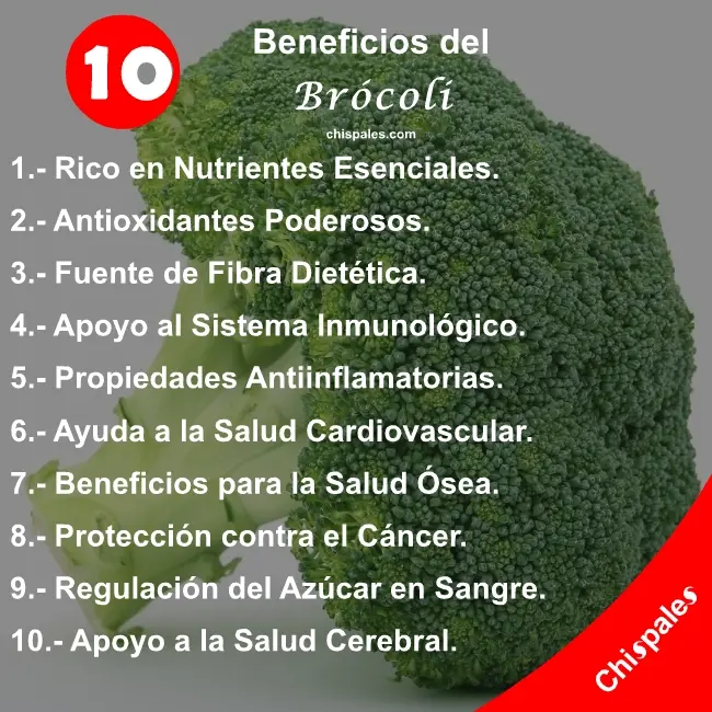 10 Beneficios del Brócoli