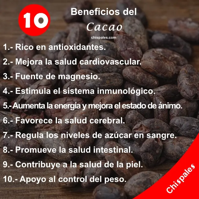 10 Beneficios del Cacao