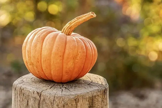 Calabaza