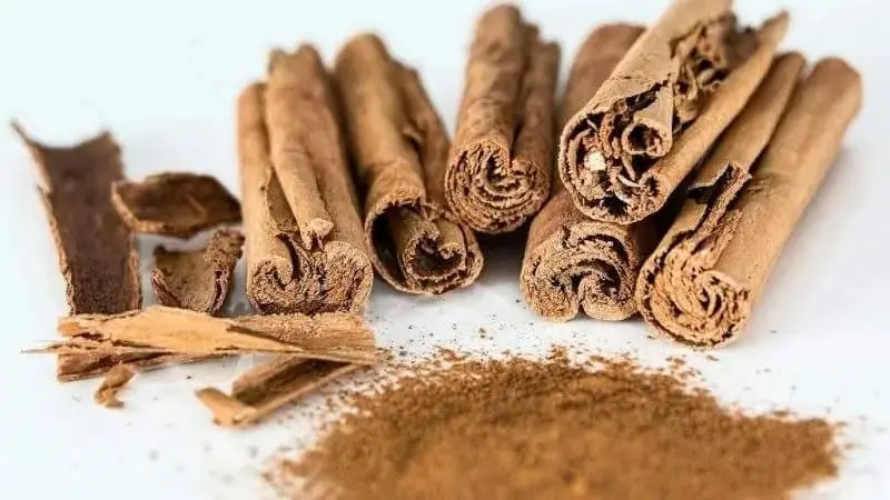 Canela