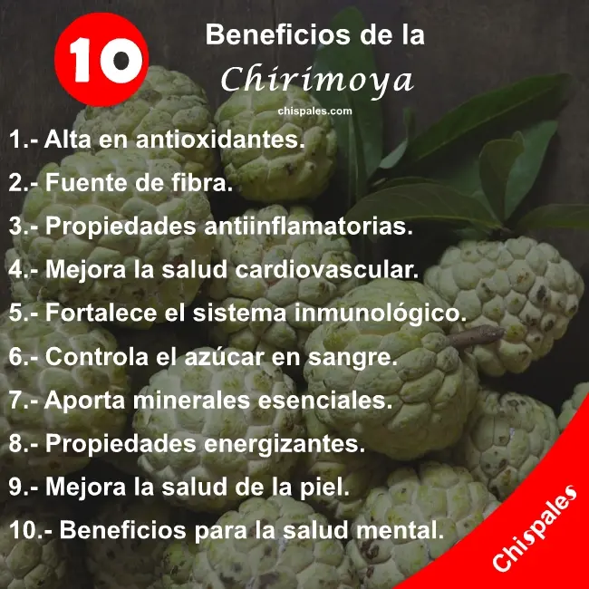 10 Beneficios de la Chirimoya