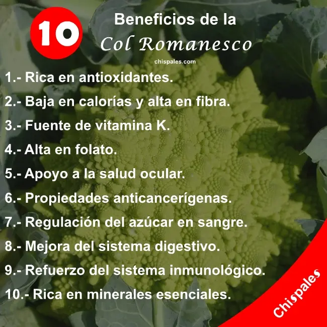 10 Beneficios de la Col Romanesco