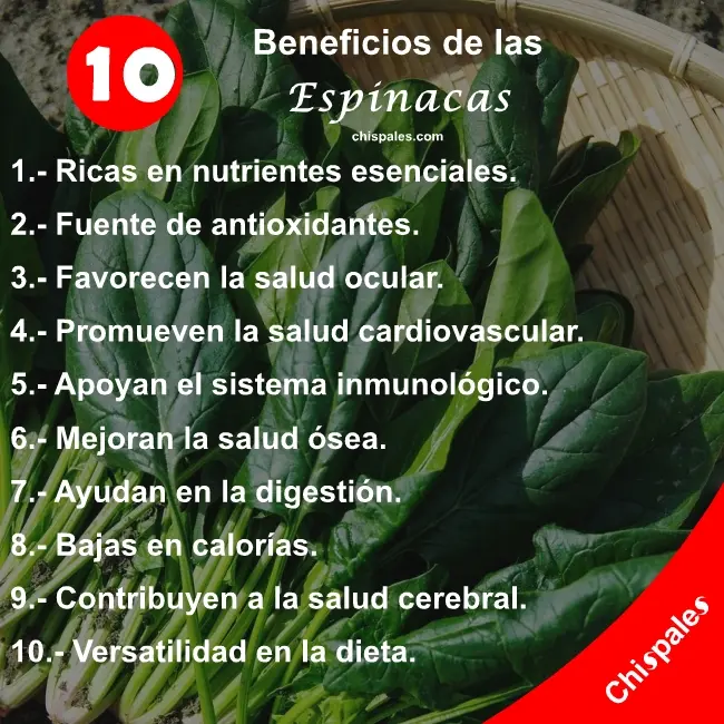 10 Beneficios de las Espinacas