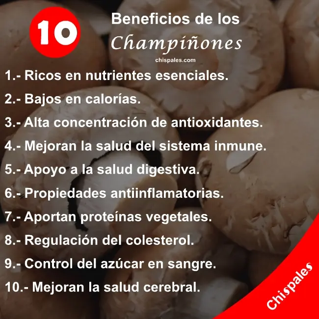 10 Beneficios de los Champiñones