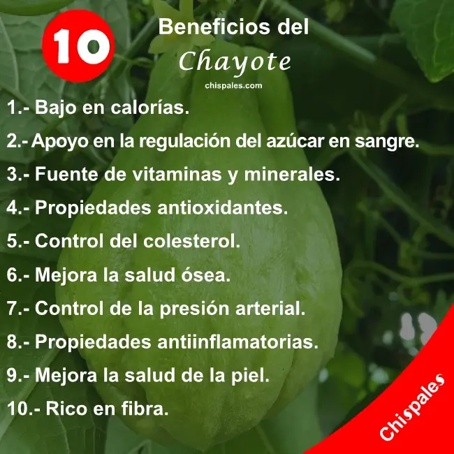 10 Beneficios del Chayote