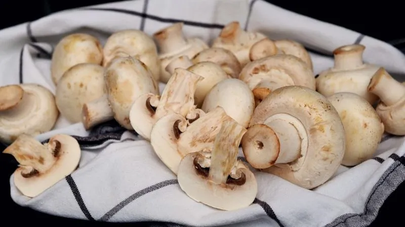 Champiñones