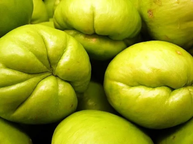 Chayote