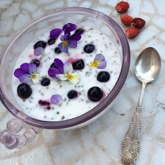Chia