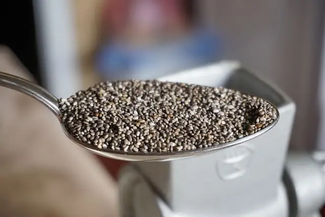 Chia