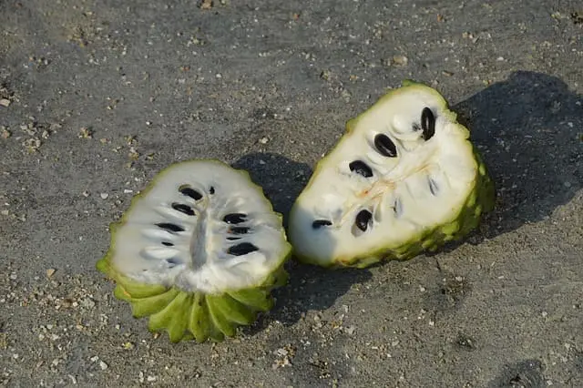 Chirimoya